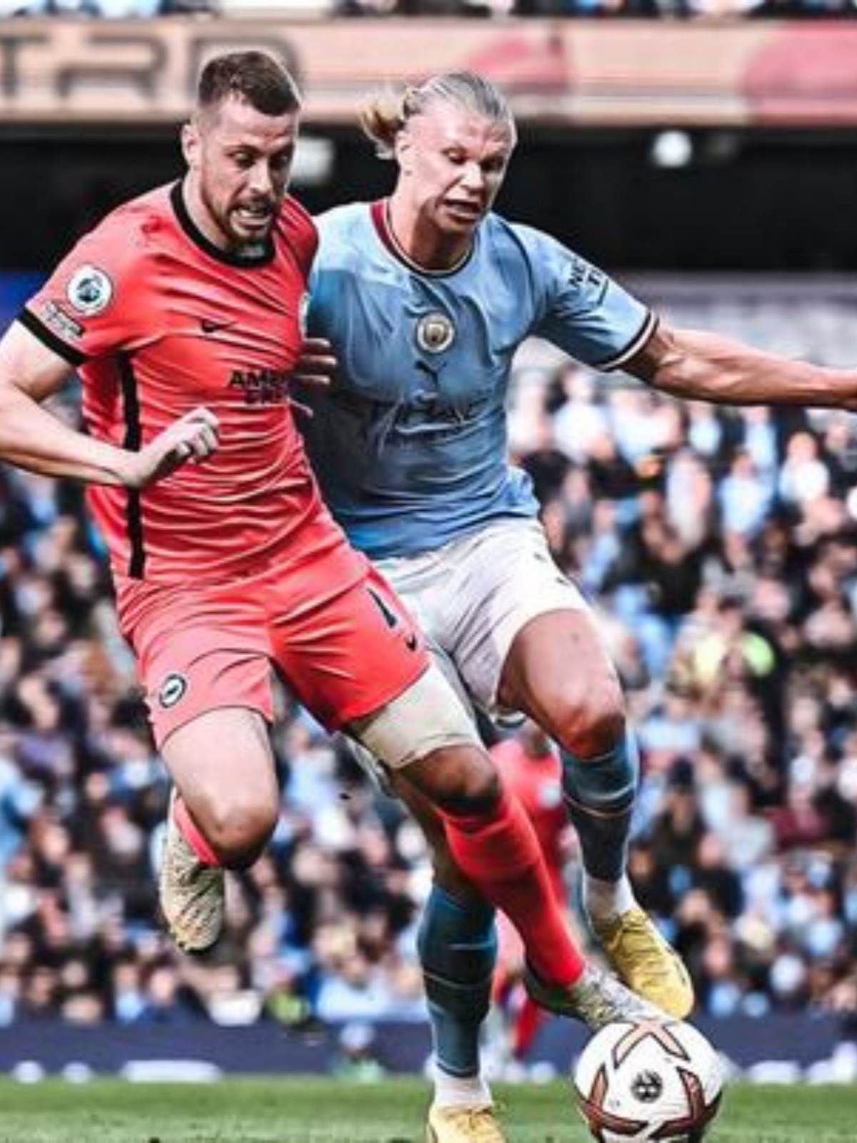 开云主页-关于莱万多夫斯基迎来三赛季出色发挥,切尔西观众热烈欢呼!全场沸腾不已的信息